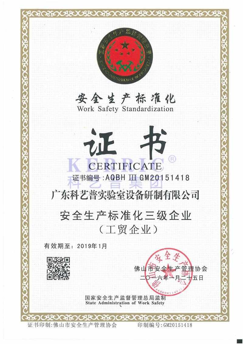 2016安全生產(chǎn)標準化證書(shū)0