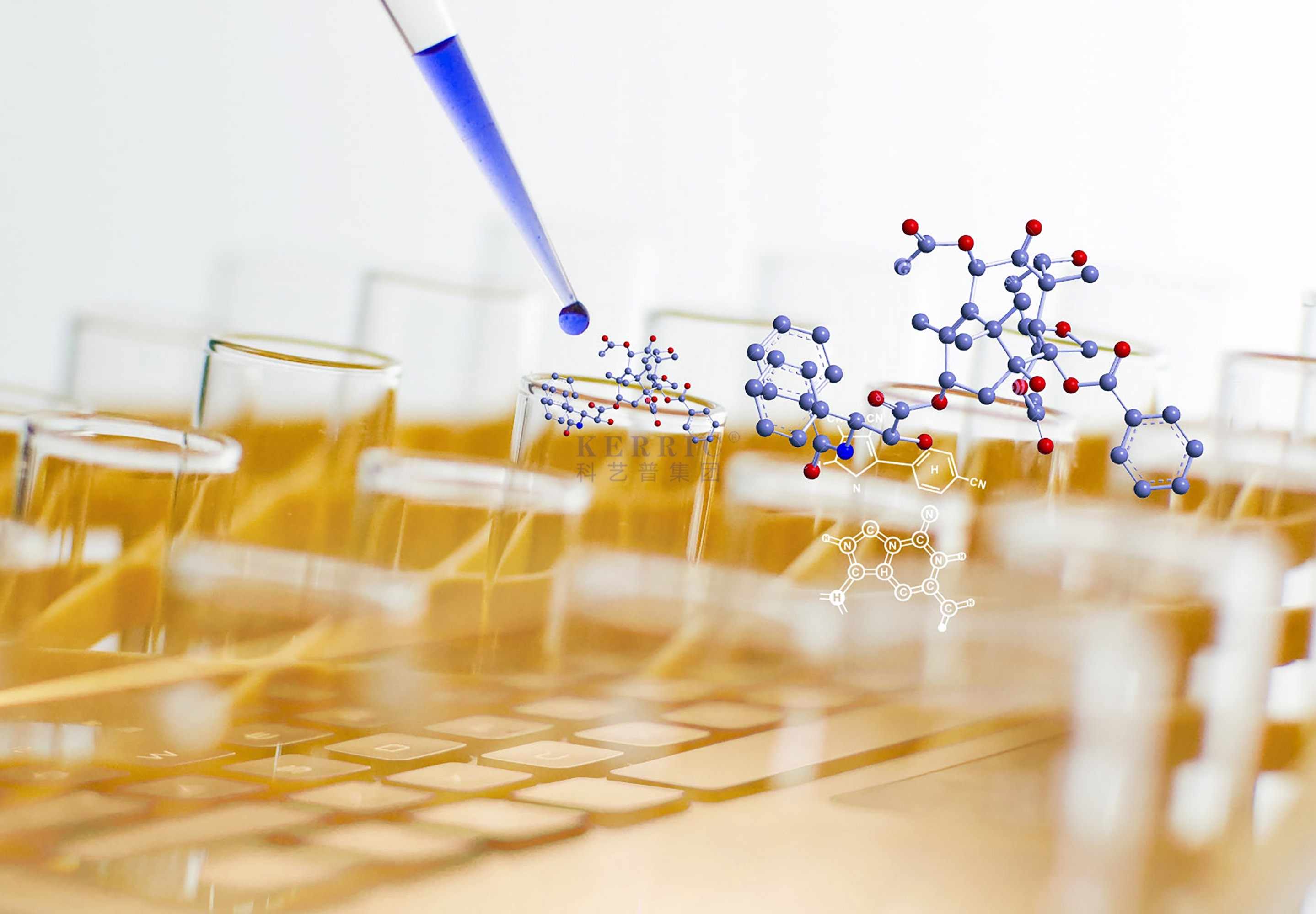 分子微生物實(shí)驗室解決方案