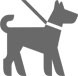 動(dòng)物房實(shí)驗室建設解決方案